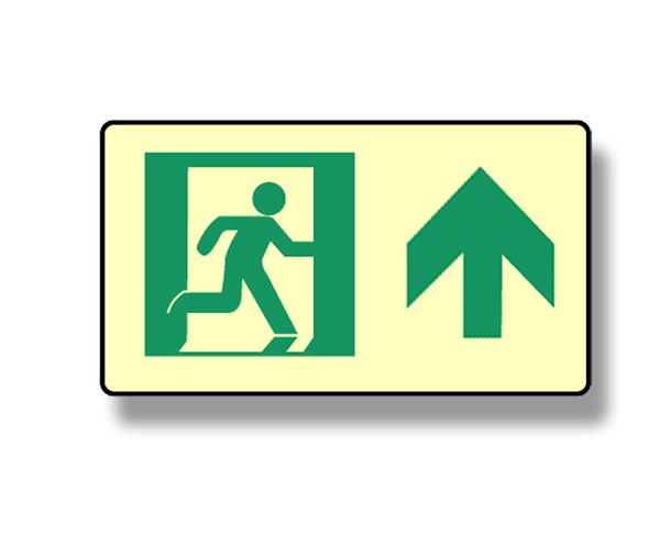 Photoluminescent Directional Forward Sign (NYC)