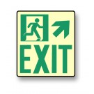 Photoluminescent Wall Mount "Exit" Up Right Sign (NYC)